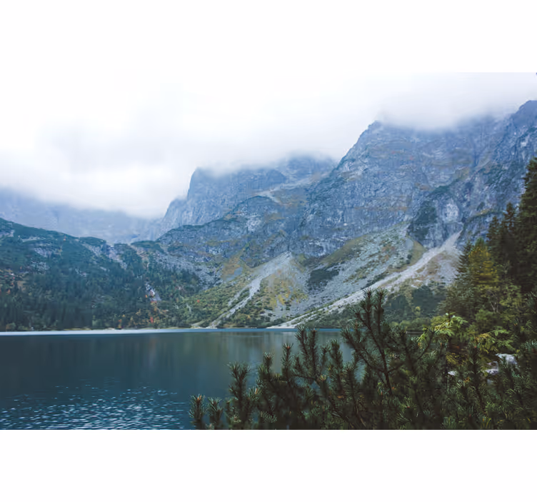 Foto behang groen morskie oko in de tatra bergen - TenStickers
