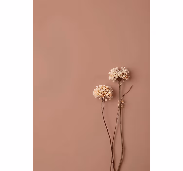 Fotobehang hal gedroogde bloemen - TenStickers