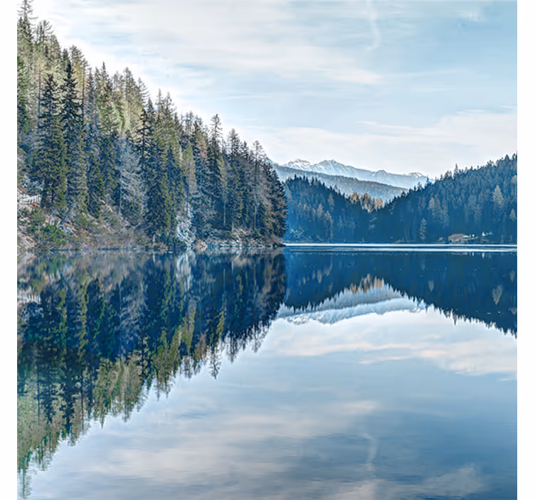 Fotobehang hal natuur bos rivier - TenStickers