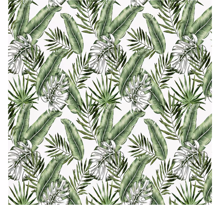 Natuur behang monstera bladeren groen - TenStickers