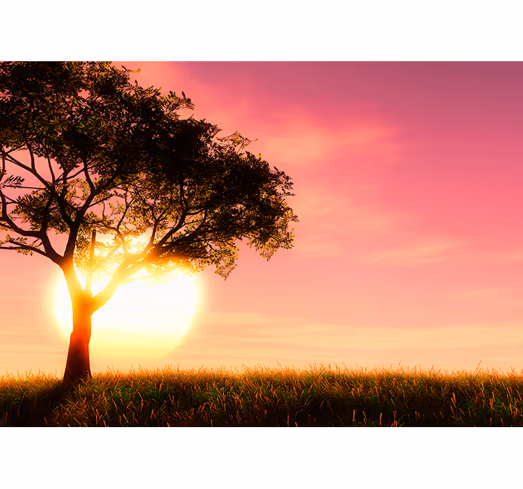 Fototapet landschap savannah zonsondergang silhouet - TenStickers