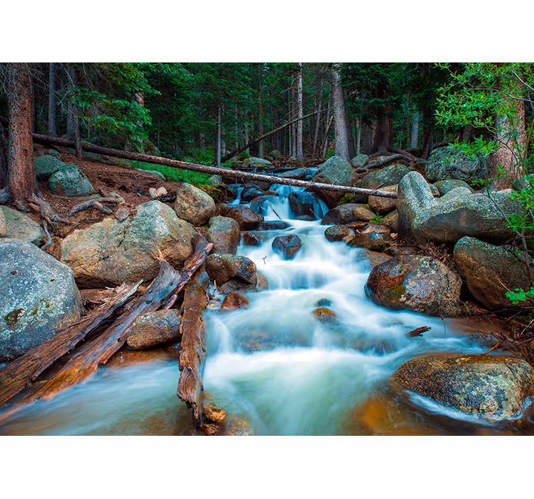 Fotobehang bos Jungle waterval - TenStickers