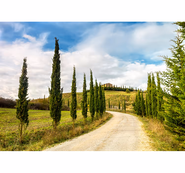 Toscane landschap fotobehang - TenStickers