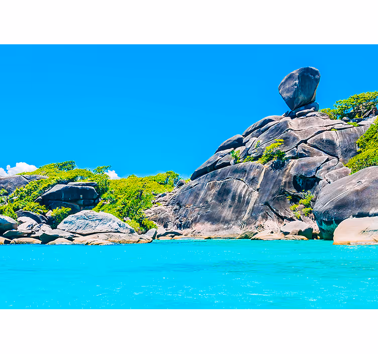 3d fotobehang Tropsich strand met palmboom - TenStickers