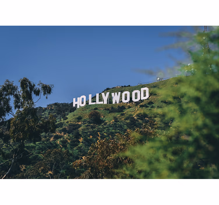 Fotobehang stad hollywood sign landschap - TenStickers