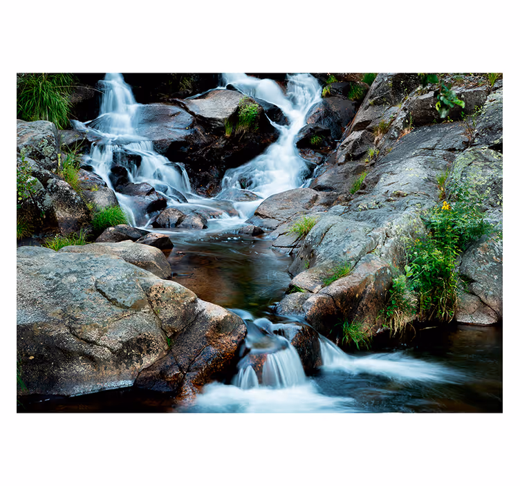 Regenwoud fotobehang met water en stenen - TenStickers