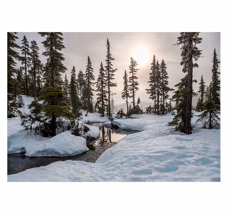 Fotobehang bos Winter zonneschijn - TenStickers