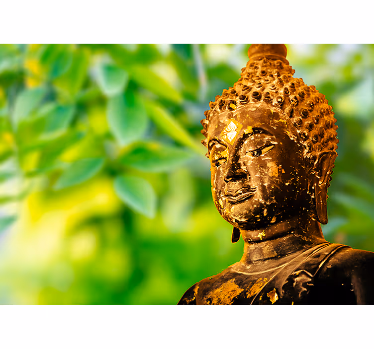 Fotobehang ruimte buddha rustgevend - TenStickers