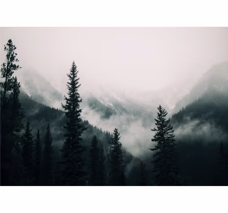 Mistig berglandschap foto behang bos - TenStickers
