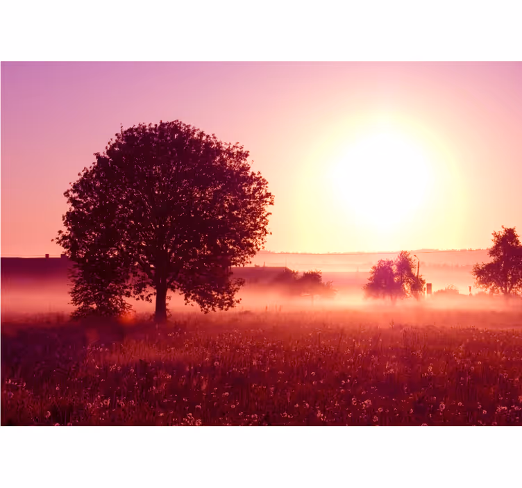 Fotobehang natuur silhouet van een boom bij zonsondergang - TenStickers
