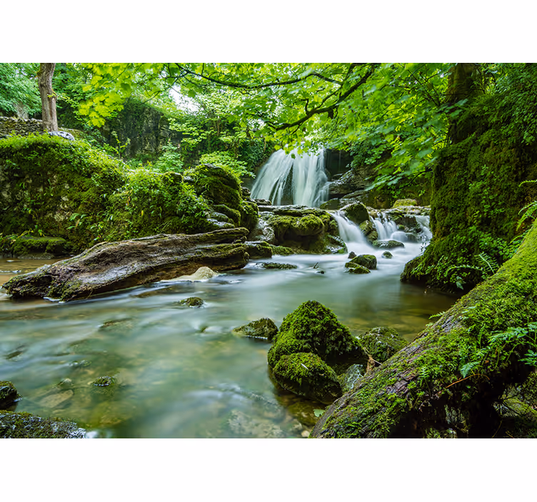 Fotobehang natuur rustige bosbeek - TenStickers