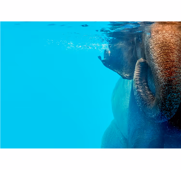 Majestueuze onderwater olifant foto behang dieren - TenStickers