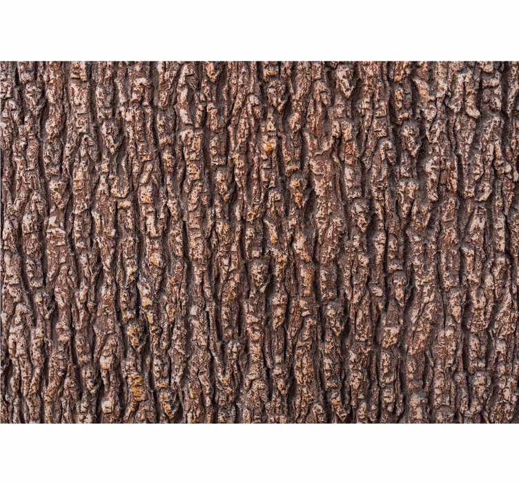 Foto behang stenen met gestructureerd schorsoppervlak - TenStickers