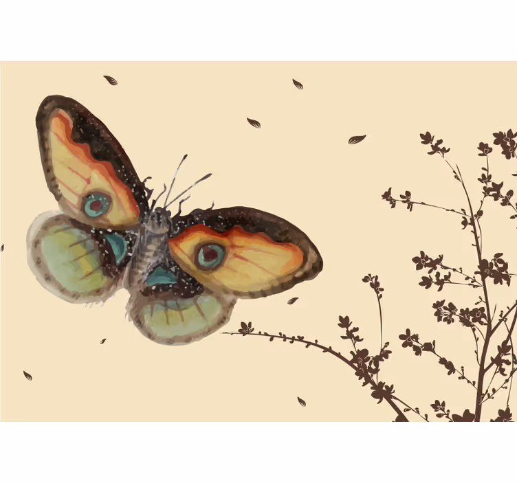 Foto behang dieren grote vlinderdisplay - TenStickers