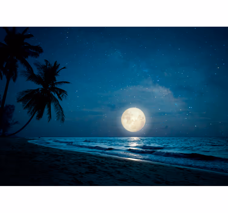 Maanverlichte oceaanscène fotobehang natuur - TenStickers