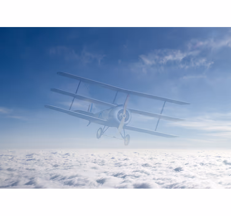 Vintage vliegtuigvlucht fotobehang voertuigen - TenStickers
