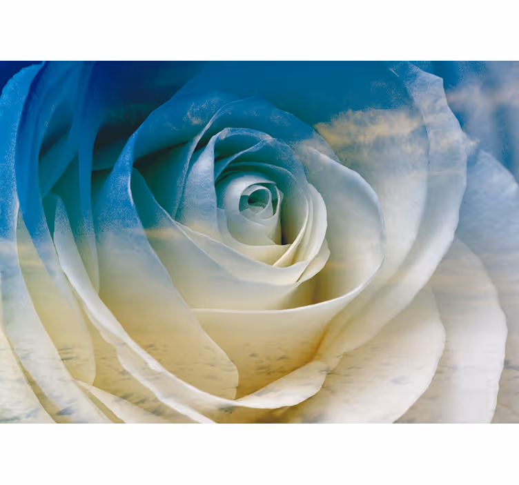 Bloemen foto behang rozenbloesem elegant - TenStickers