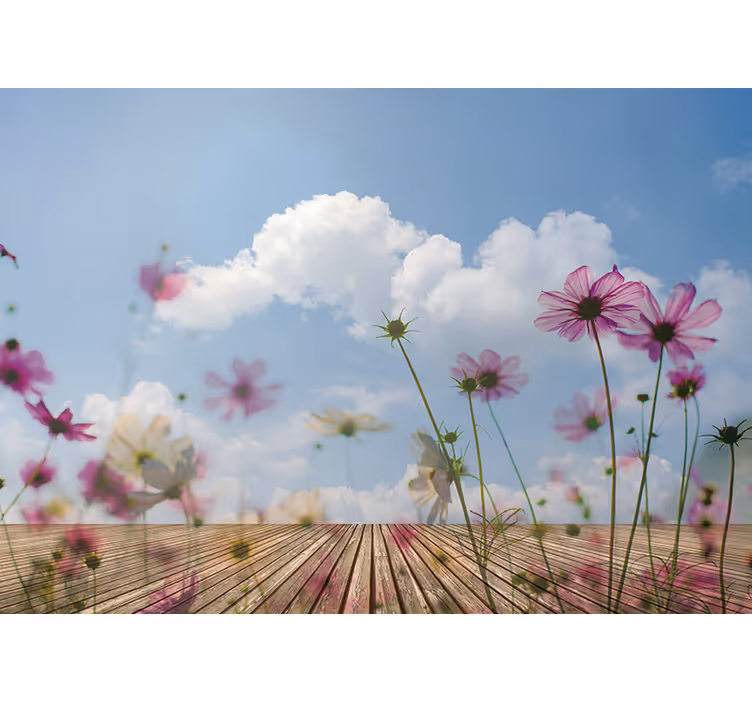 Delicate bloemenbloesems bloemen foto behang - TenStickers