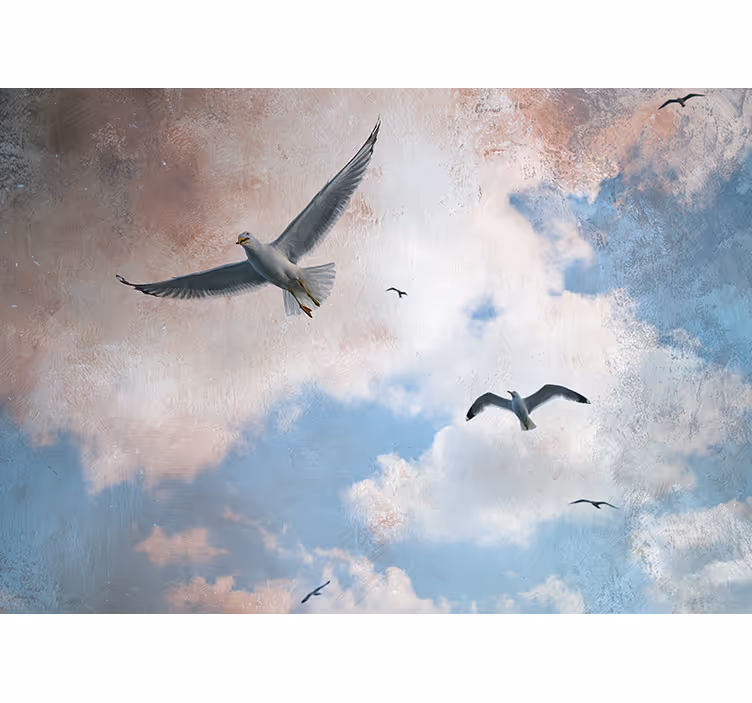 Meeuwen in vlucht foto behang dieren - TenStickers