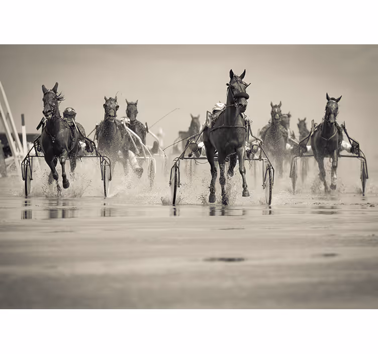 Paarden die samen racen foto behang dieren - TenStickers