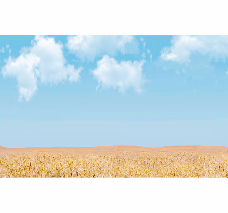 Lucht en tarwe fototapet landschap - TenStickers