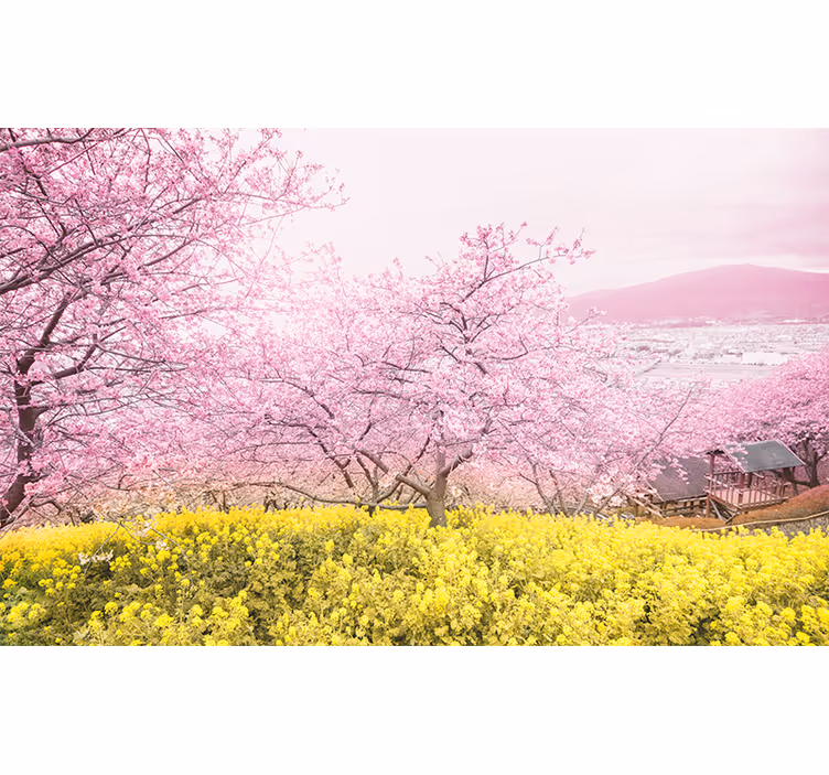 Kersenbloesem rust bloemen foto behang - TenStickers