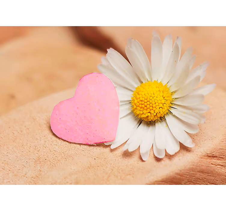 Hartbloem bloesem foto behang liefde - TenStickers