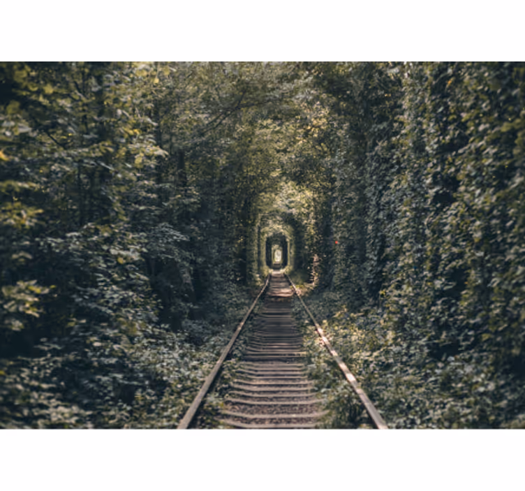 Bos tunnelpad fototapet landschap - TenStickers