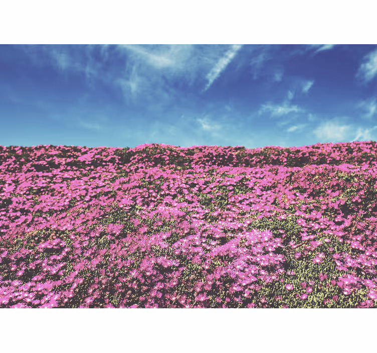 Levendige roze bloesems bloemen foto behang - TenStickers