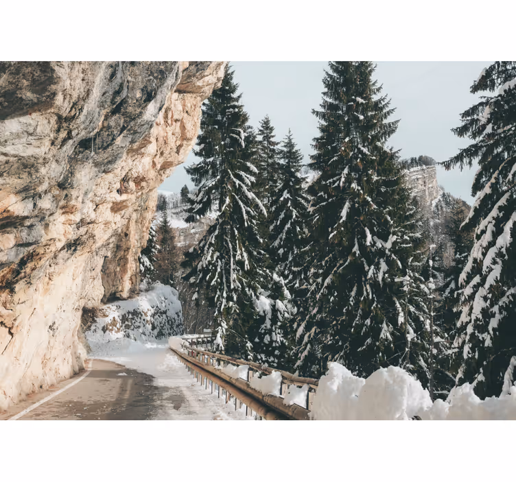 Winter dennenlandschap fototapet landschap - TenStickers