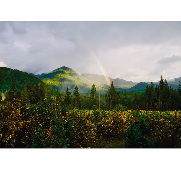 Bergachtig landschap fotobehang natuur - TenStickers