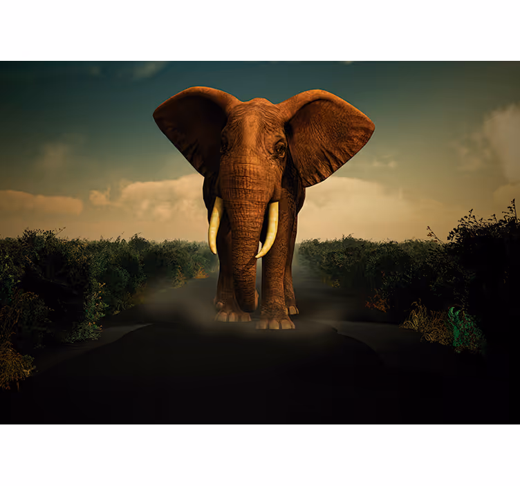 Foto behang dieren majestueuze olifant - TenStickers