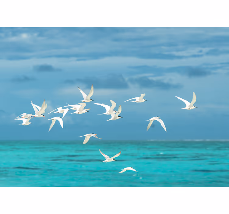 Fotobehang natuur vliegende vogels landschap - TenStickers