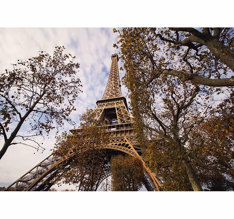 Fotobehang parijs uitzicht op de eiffeltoren - TenStickers