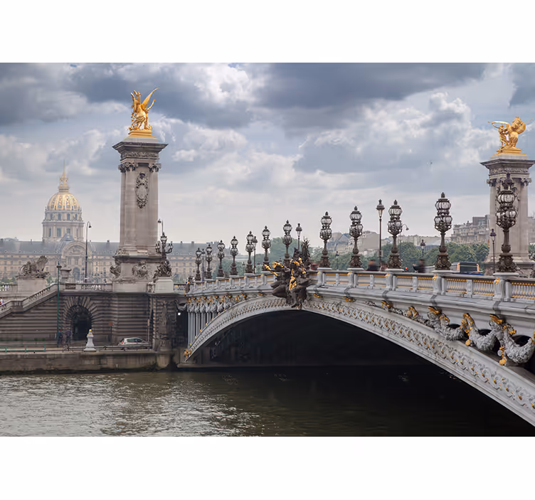 Uitzicht op pont alexandre iii fotobehang stad - TenStickers