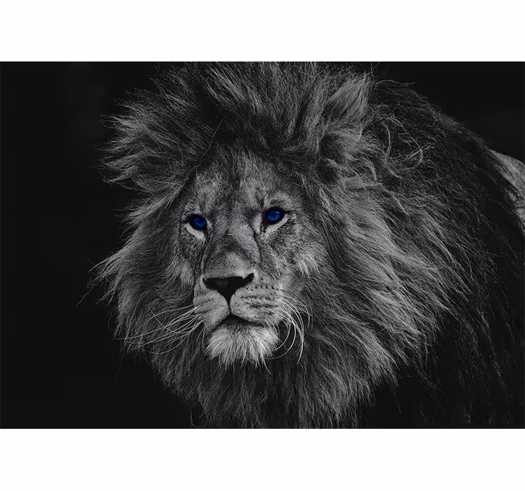 Koninklijke leeuw illustratie fotobehang leeuwen - TenStickers