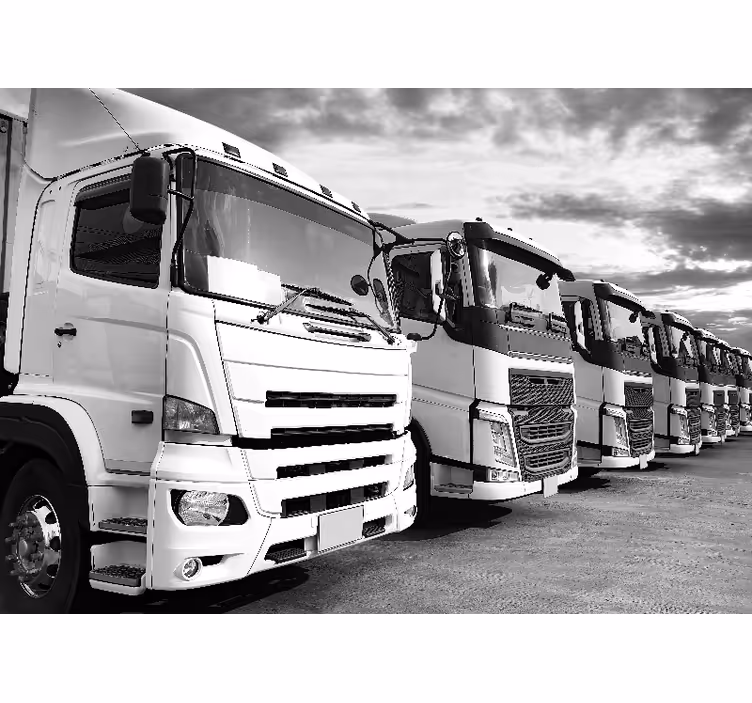 Fotobehang voertuigen trucks lijnup - TenStickers