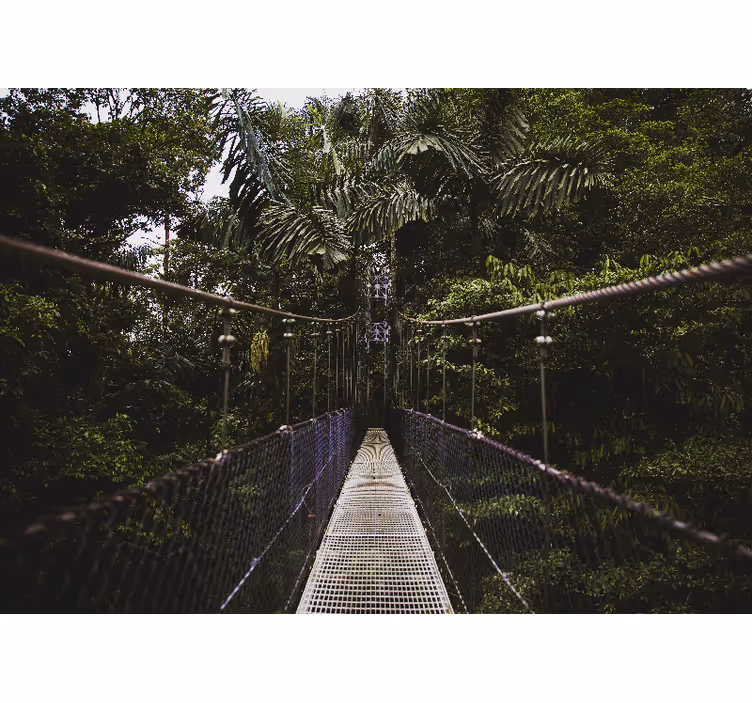 Hangbrug avontuur fotobehang natuur - TenStickers