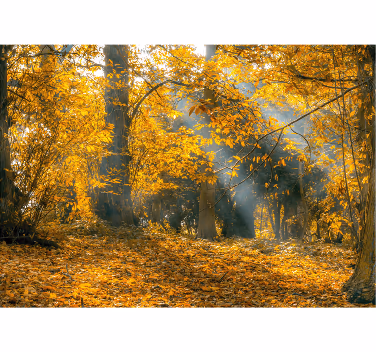 Fotobehang natuur gouden herfstbomen - TenStickers