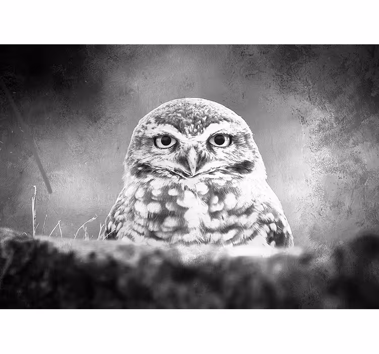 Majestueus uilenportret foto behang dieren - TenStickers