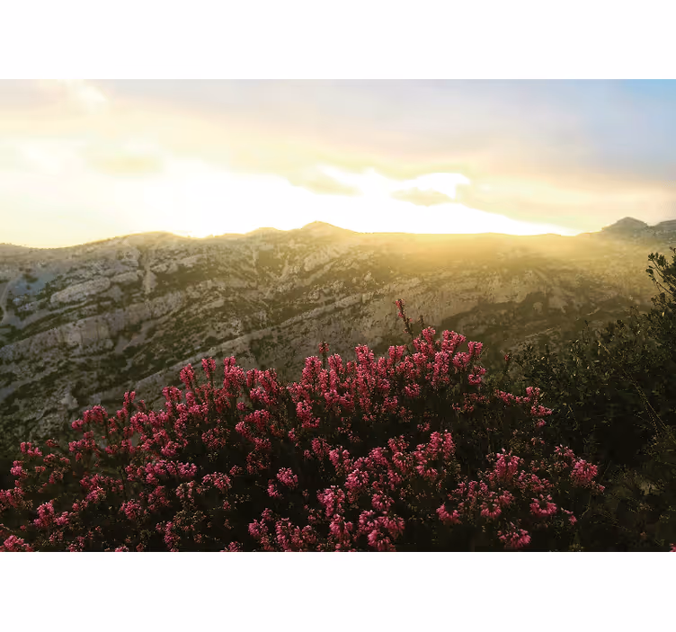 Fotobehang natuur bloeiende roze flora - TenStickers