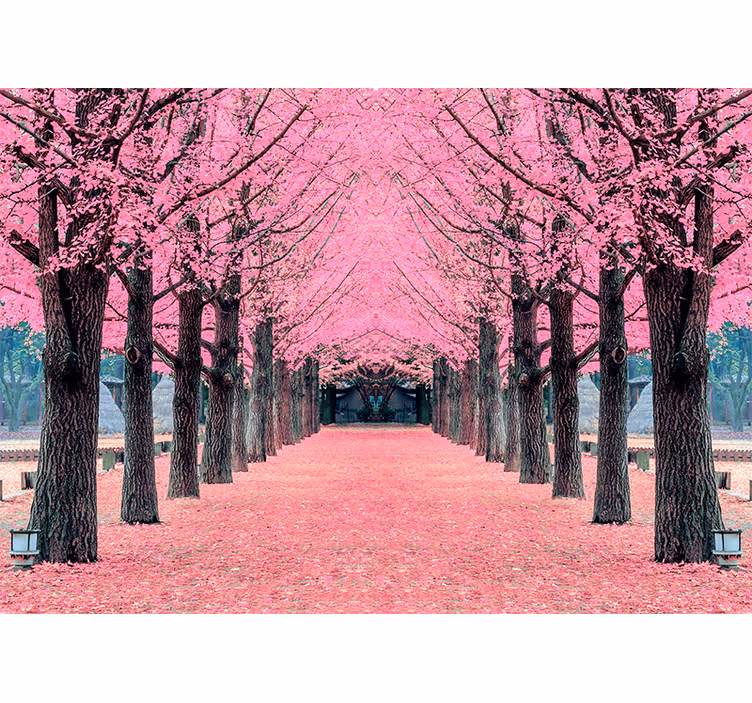 Kersenbloesempad bloemen foto behang - TenStickers