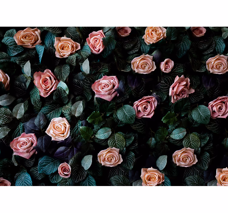 Romantische roos bloemig bloemen foto behang - TenStickers