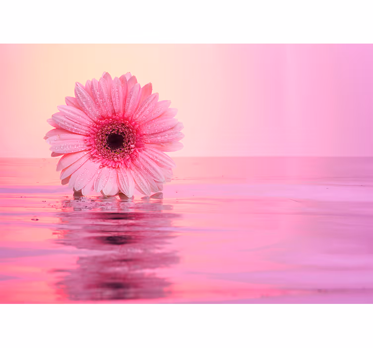 Roze bloemreflectie fotobehang klaprozen - TenStickers