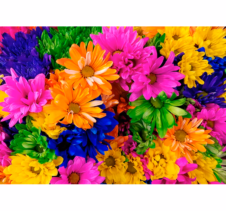 Bloemen foto behang kleurrijke botanische schikking - TenStickers