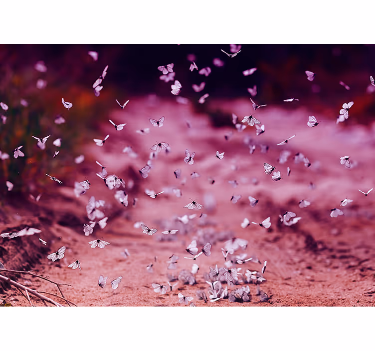 Delicate vlinderdans bloemen foto behang - TenStickers