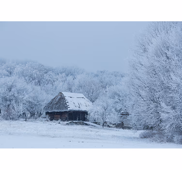 Besneeuwd winterlandschap fototapet landschap - TenStickers