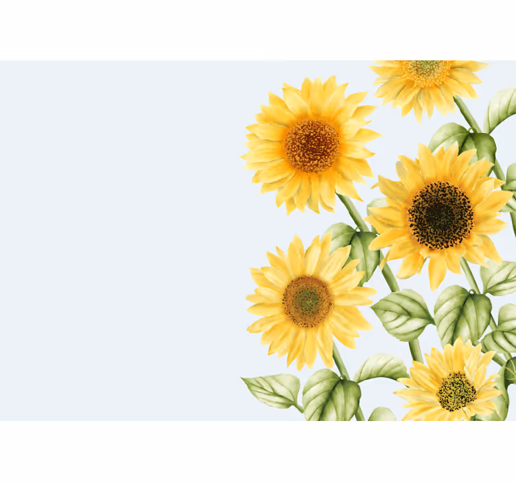 Zonnebloembloesems tentoonstellen bloemen foto behang - TenStickers