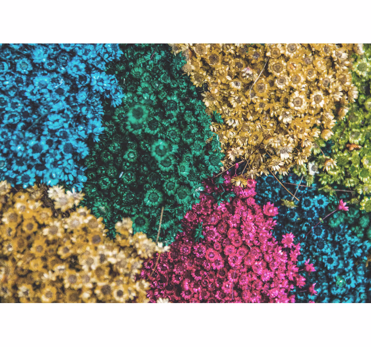 Bloemen foto behang kleurrijke bloemmotieven - TenStickers