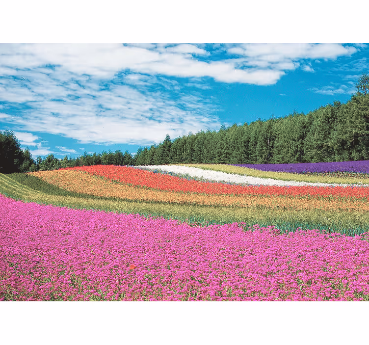 Bloemen foto behang levendig bloemenlandschap - TenStickers